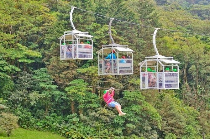 Shuttle From San Jose Airport To Monteverde - Pickup and Drop-off Information