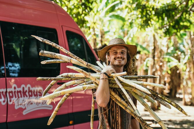 Shuttle From San Jose to Manuel Antonio - Key Points