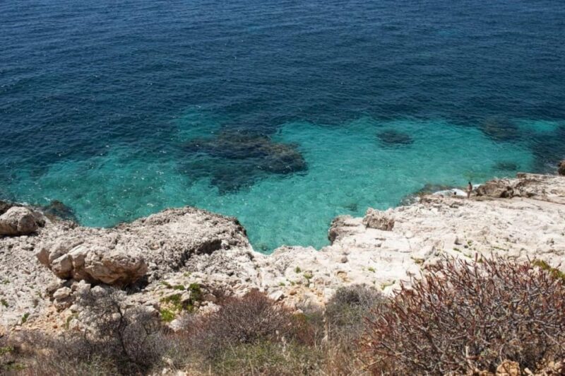 Shuttle From Trapani: Discover the Wonders of Favignana and Levanzo - Key Points