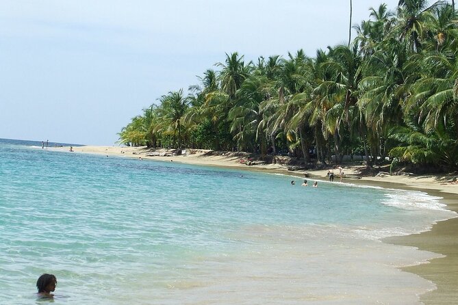 Shuttle Service From Bocas Del Toro, Panama to Puerto Viejo, Talamanca, CR. - Accessibility and Capacity