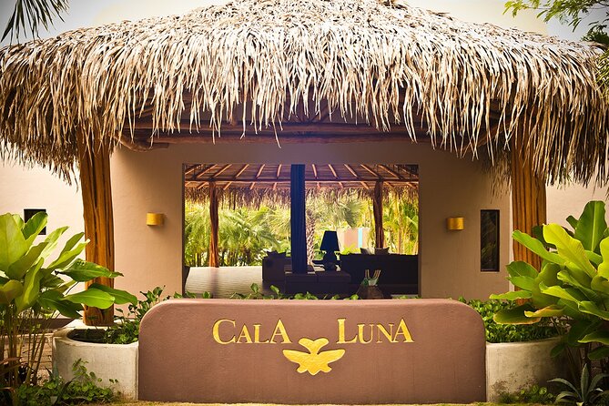 Shuttle Service From La Fortuna To Tamarindo - Passenger Reviews