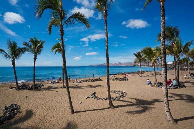Shuttle Service From Liberia Airport to Playa Grande Costa Rica - Vehicle Features and Amenities