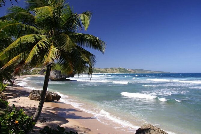 Shuttle Service From Liberia Airport To Playa Grande - Overview of Shuttle Service