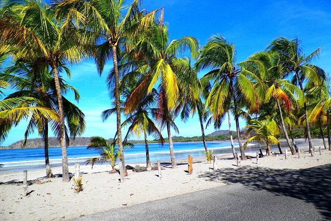Shuttle Service From Liberia Airport To Samara And Carrillo Beach - Comfort and Convenience
