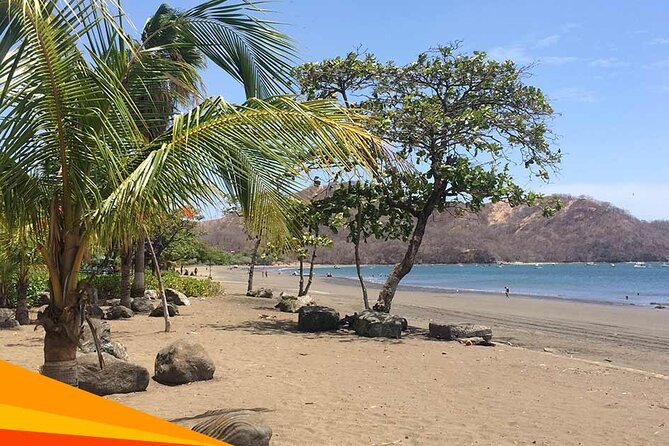 Shuttle Service From Liberia Airport To Samara and Carrillo Beach - Pickup and Drop-off Information