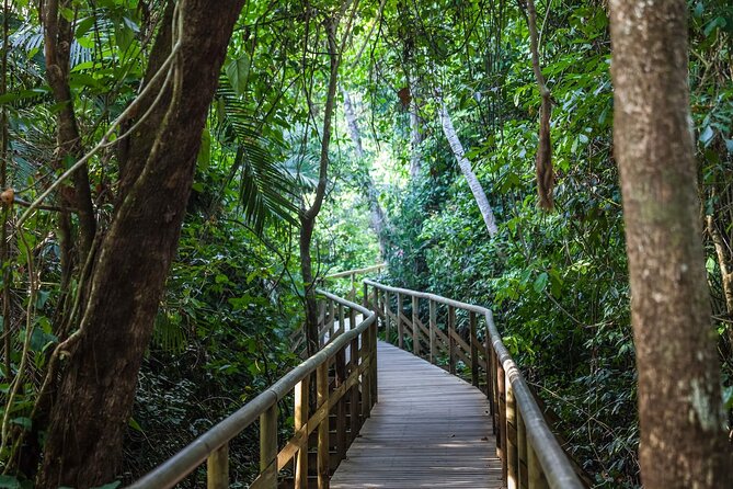 Shuttle Service From Manuel Antonio To San Jose Airport - Accessibility Features