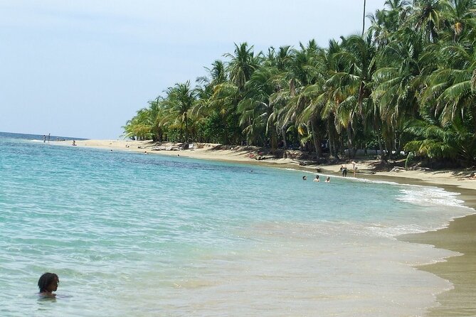 Shuttle Service From San José (Sjo) to Puerto Viejo, Costa Rica. - Accessibility and Participant Details