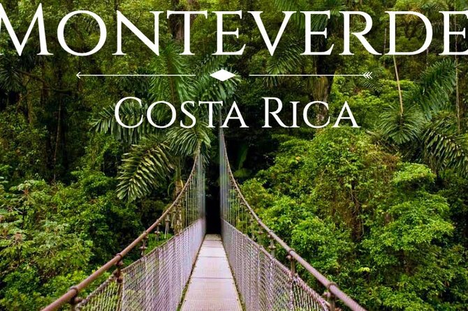 Shuttle Service From San Jose To Monteverde - Key Points