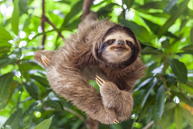 Shuttle Service From San Jose To Monteverde - Booking Information