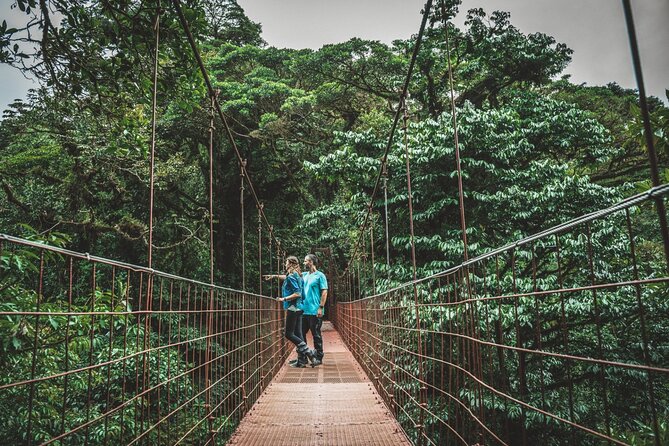 Shuttle Service From San Jose To Monteverde - Transportation Experience