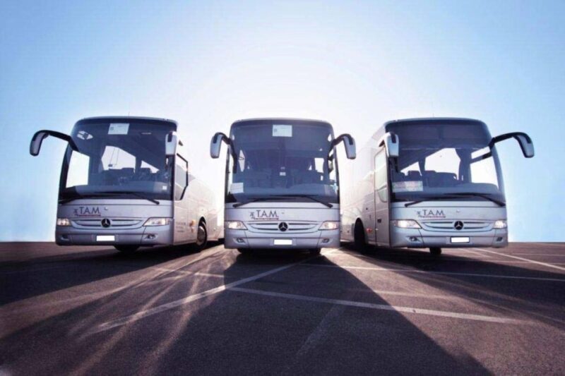 Shuttle Service to Easily Travel Between Naples and Assisi - Onboard Amenities for a Comfortable Journey