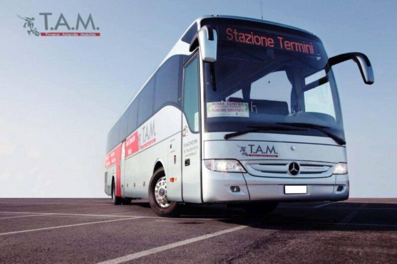 Shuttle Service to Easily Travel Between Naples and Assisi - Meeting Points and Travel Options
