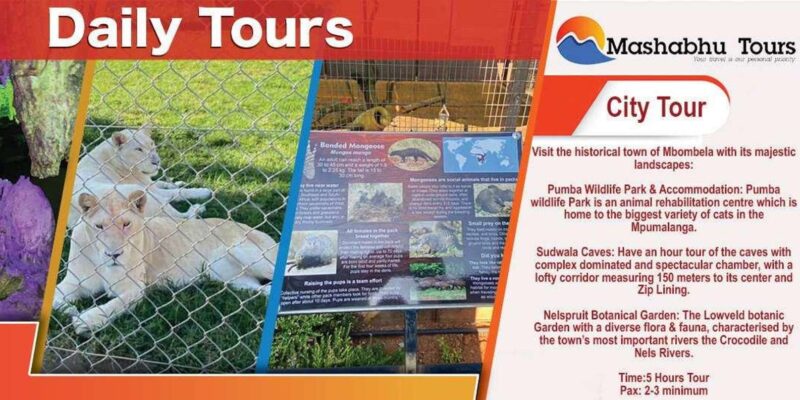 Shuttle Services in KMI and Around Mbombela - Operational Flexibility