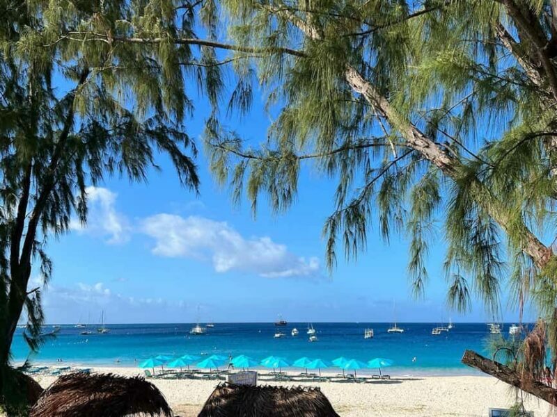 Shuttle to Carlisle Bay inclusive of beach chair - Why This Tour is a Great Choice for Beach Lovers