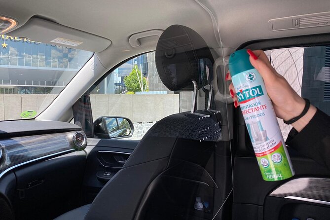 Shuttle Transfer Arrivals: Madrid Airport to City Center - Meeting and Pickup Options