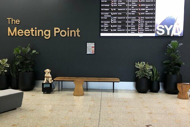 Shuttle Transfer from Sydney Airport to Cruise Ship Terminal at Circular Quay - The Experience: What to Expect