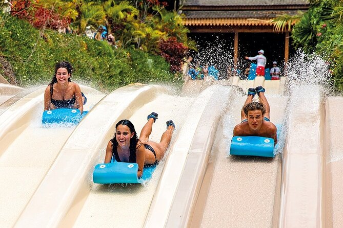 Siam Park Tenerife Entry Tickets - Host Feedback and Improvement