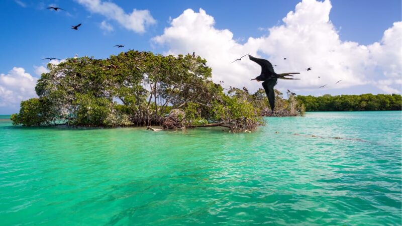 Sian Kaan Biosphere and Underground River - Private Tour - Inclusions