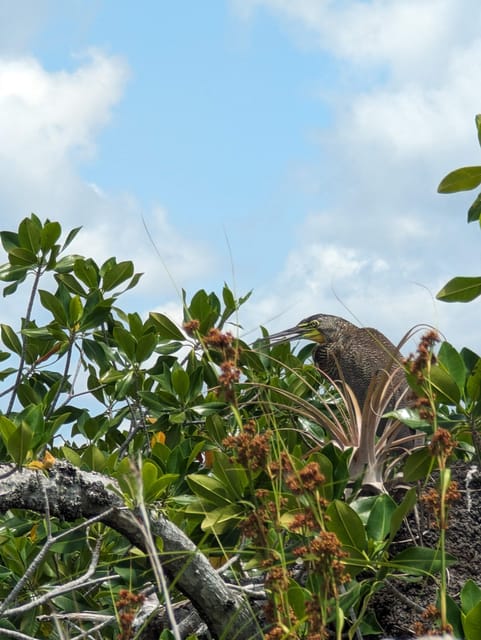 Sian Kaan Biosphere and Underground River - Private Tour - Reserve Now, Pay Later