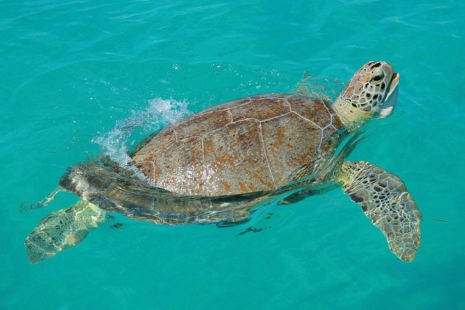 Sian Kaan Biosphere Tour - Traveler Requirements and Recommendations
