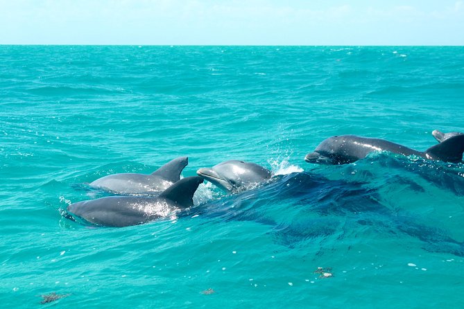 Sian Kaan Biosphere Tour - Exploring Sian Kaan Biosphere