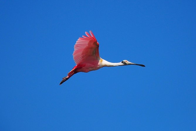 Sian Kaan Biosphere Tour - Lunch and Free Time in Punta Allen