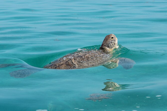 Sian Kaan Boat Tour: Full Day Experience - Experience Feedback
