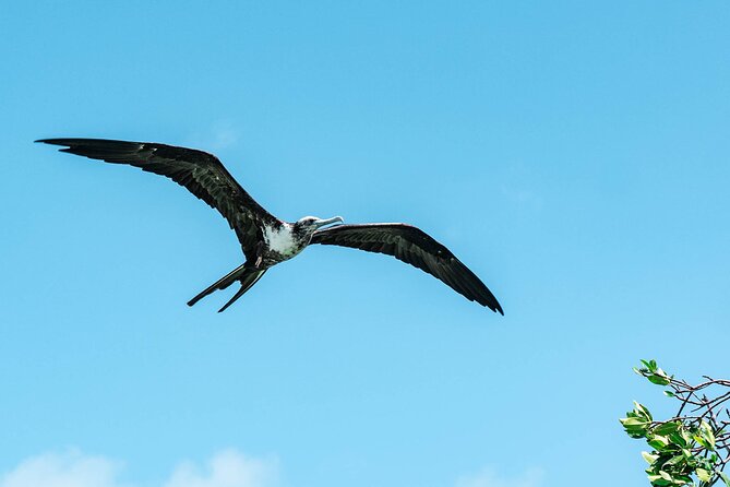 Sian Kaan Boat Tour: Full Day Experience - Health Advisory