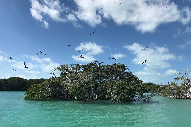 Sian Kaan Trip From Playa Del Carmen & Tulum - Customer Reviews