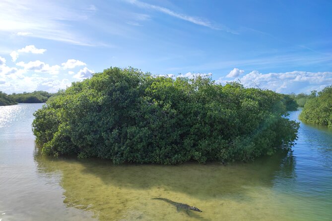 Sian Kaan Trip From Playa Del Carmen & Tulum - Response to Concerns