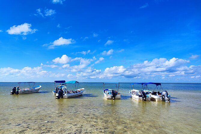 Sian Kaan Trip From Playa Del Carmen & Tulum - Preparing for the Trip