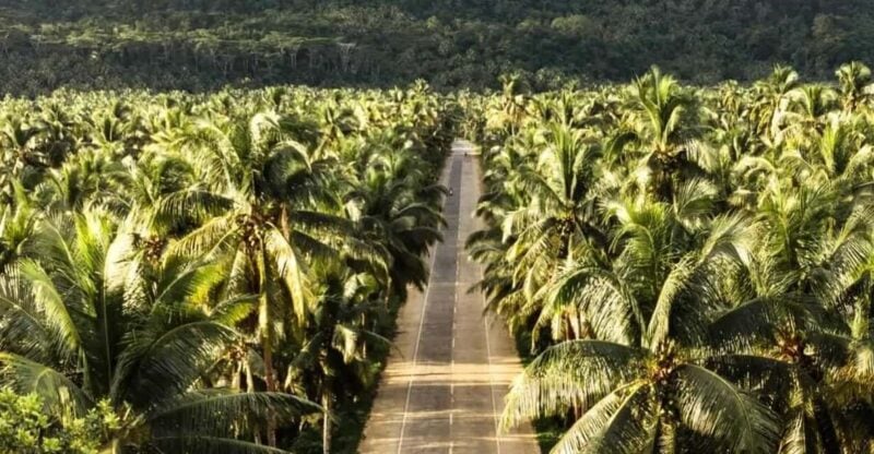 Siargao Tour D (Private Tour) - Experience Highlights