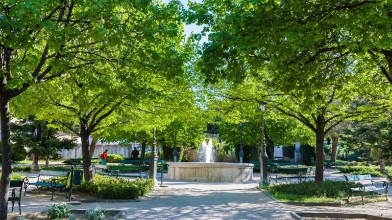 Šibenik: Ivans Walking Tour - Exploring Šibeniks Promenade