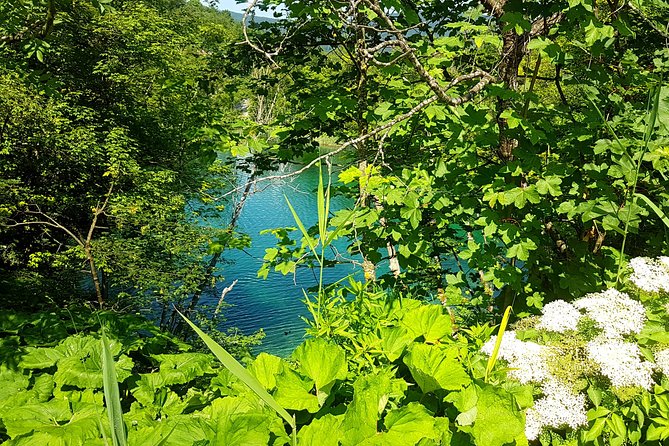 Šibenik to Zagreb Private Transfer With Plitvice Lakes Tour - Questions About Staying Here