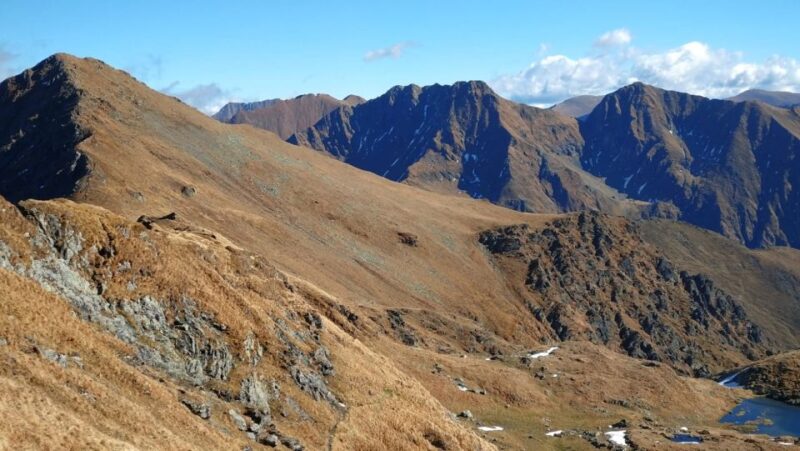 Sibiu: 1-Day Hiking Tour in the Carpathian Mountains - Included in the Tour