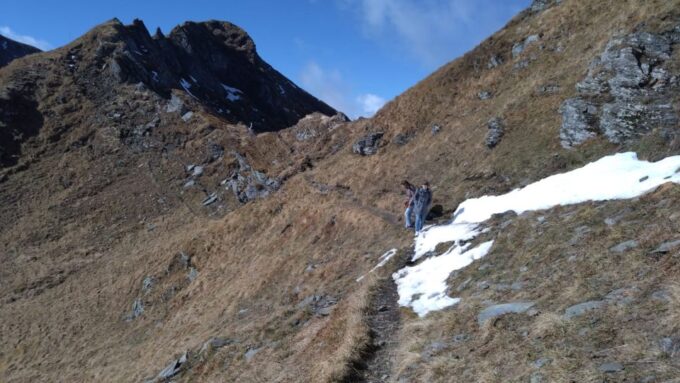 Sibiu: 1-Day Hiking Tour in the Carpathian Mountains - Frequently Asked Questions