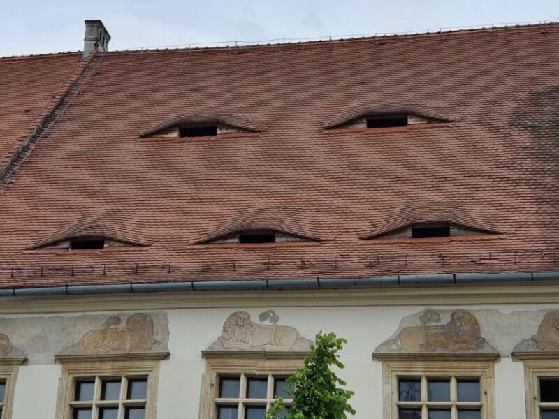 Sibiu City Tour - Private Day Trip From Bucharest - Tour Features