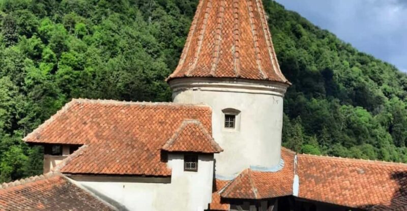 Sibiu: Draculas Castle and Dino Park Day Trip - Key Points