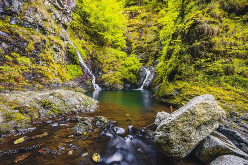 Sibiu: Famous Transfagarasan Road and Balea Lake Day Tour - Pricing and Booking