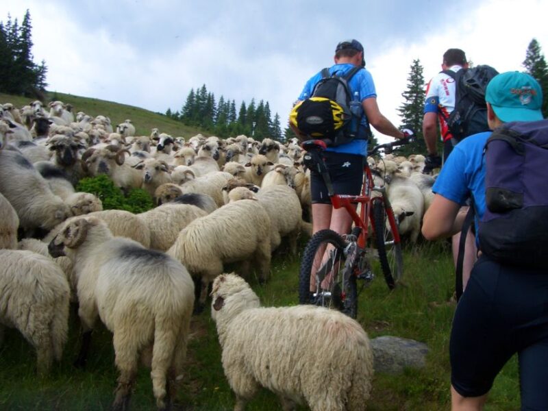 Sibiu: Guided Highlights E-bike Tour - Experience Highlights