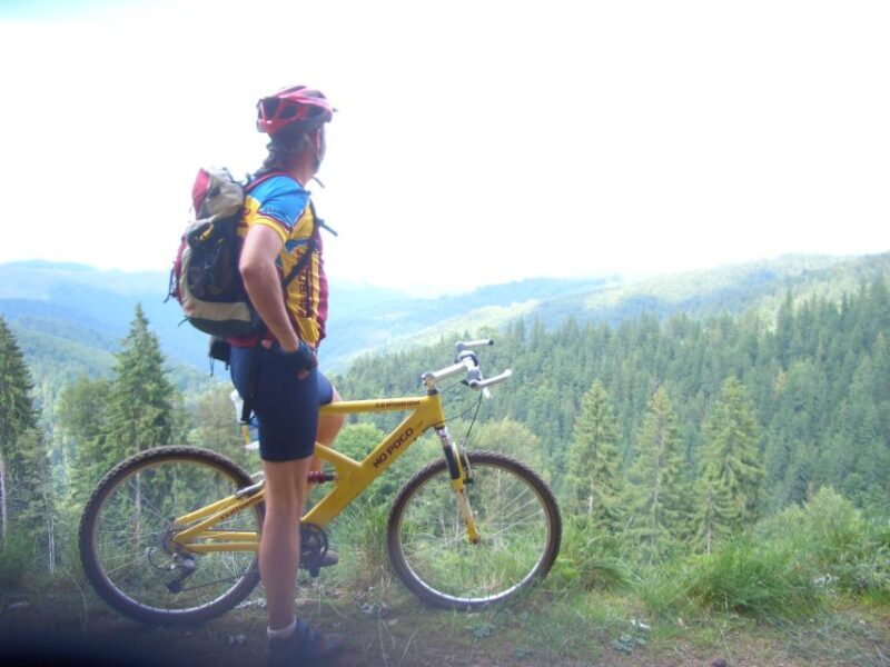 Sibiu: Guided Highlights E-bike Tour - E-bike Details