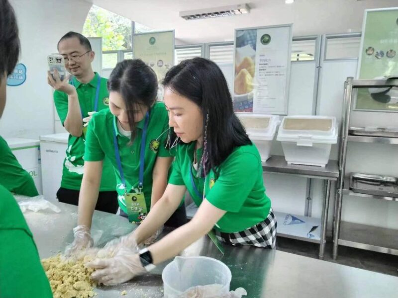 Sichuan: Big Panda Volunteer Day Tour - Itinerary and Logistics