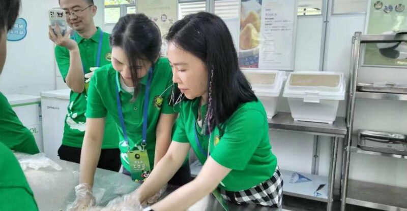 Sichuan: Big Panda Volunteer Day Tour - Panda Conservation Efforts