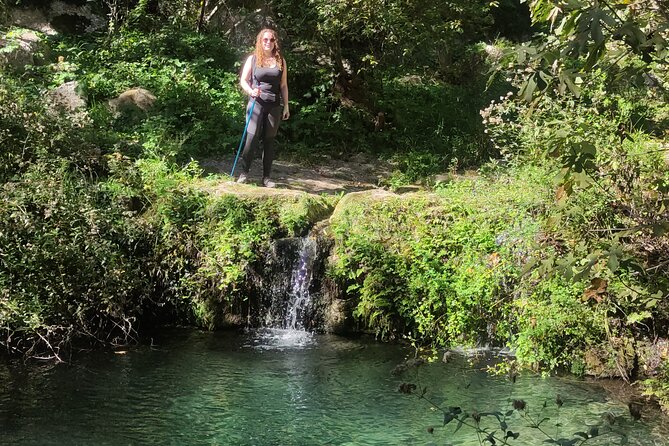 Sicilian Natural Parks, Trekking Eco Tour From the Sea to the Mountains - Customer Reviews and Testimonials