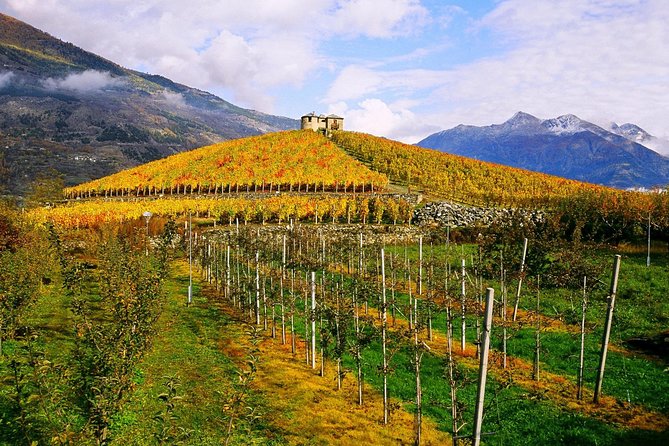 Sicily … A Love of a Lifetime - Verified Customer Reviews