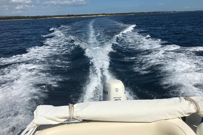 Sicily Boats - Private Tour for 4 People - Plemmirio Marine Reserve - Accessibility and Health