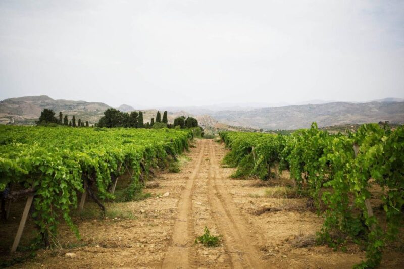 Sicily: Photo Walk and Wine Tasting - Frequently Asked Questions