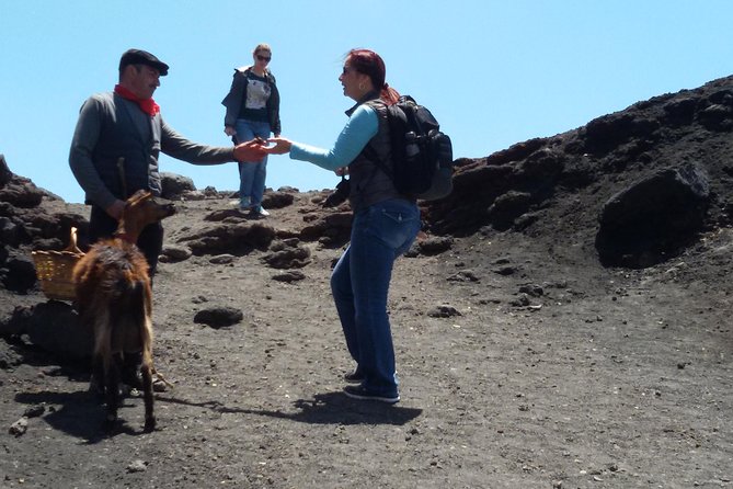 Sicily Private Shore Excursion - Etna and Taormina With Personal Driver - Accessibility and Cancellation
