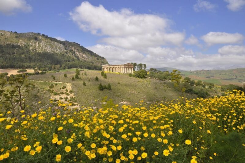 Sicily: Segesta Ticket, Shuttle Service & City Audio Tour - Shuttle Service Details