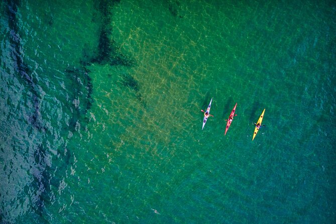 Sick Day Midweek Kayak Tour on Tomales Bay - Inclusions